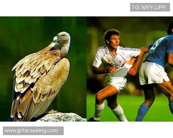 球星背后的传奇数字解读 足球球衣号码与球员命运的奇妙关系 球星背后的传奇数字解读 足球球衣号码与球员命运的奇妙关系